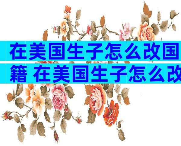 在美国生子怎么改国籍 在美国生子怎么改国籍呢